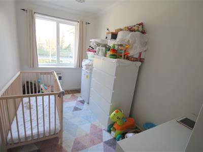 Picture 5
